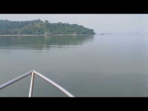 VIDIO EDUKASI: "BUDIDAYA BULU BABI"