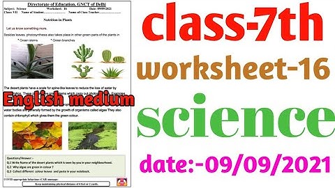 Class 7 science worksheet 16 (09/9/21) || science worksheet 16 class 7 / English medium class 7th