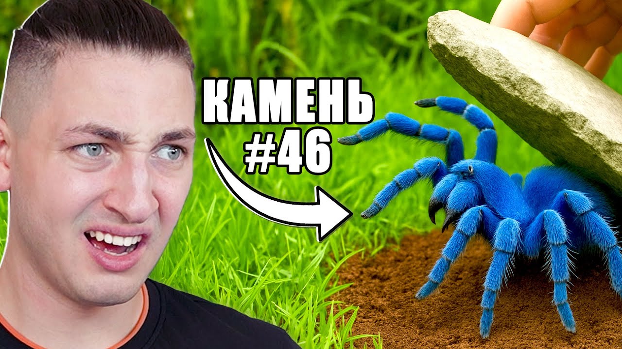 Я перевернул 100 камней в  лесу, и нашел ЭТО... - реакция Градуса и Вазачки