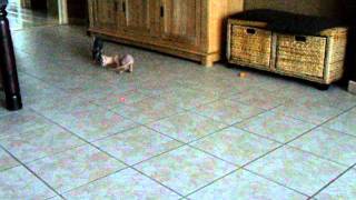 DSCF8326.AVI