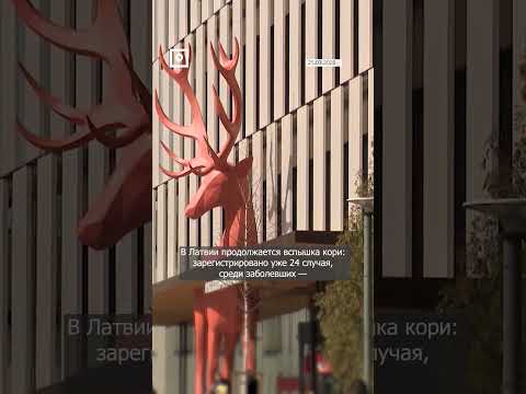 #короткооглавном 25 марта