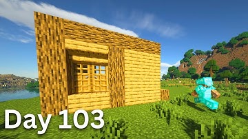 Building A House But Only Adding One Block A Day (Day 103)