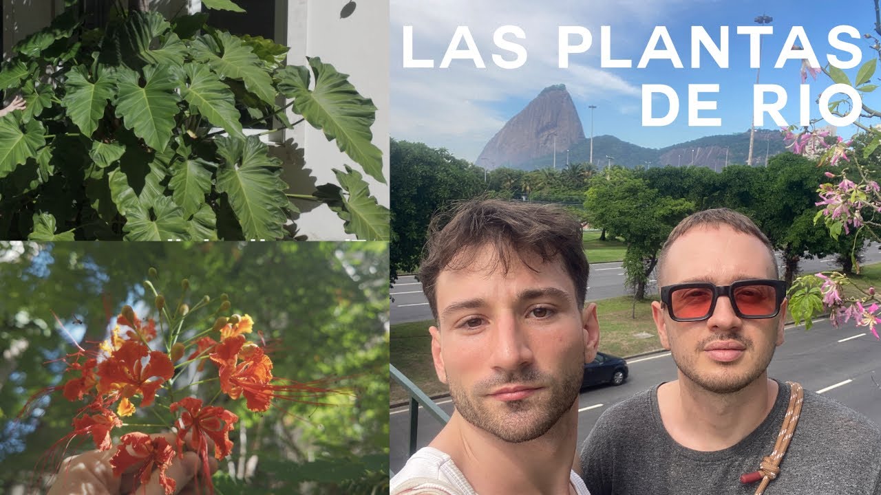 Plantas tropicales en Rio de Janeiro, conociendo plantas de brazil!
