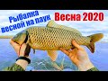 Рыбалка 2020 Рыбалка на паук Рыбалка на сети или как мужики на рыбалку ездили