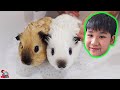 น้องบีม | อาบน้ำไข่ต้ม ไข่ตุ๋น