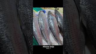 Mawa Trip Vlog | Padma Bridge View 😍 Part 1