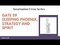 Gate 59 - Incarnation Cross - Sleeping Phoenix, Strategy, and Spirit