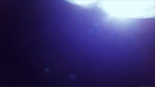 Light Leaks Element 446