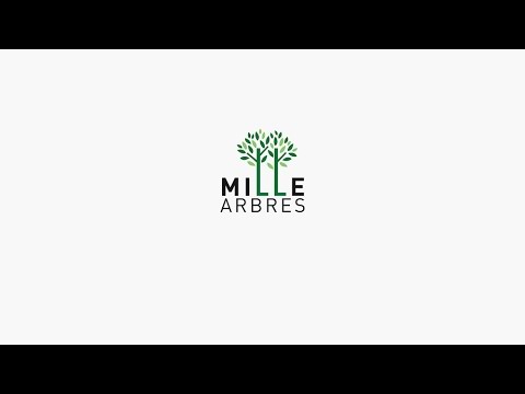 Mille Arbres