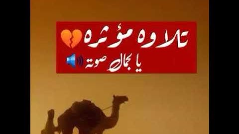 تلاوه حجازيه برواية الكسائي من سورة يوسف للقارئ الشيخ عبد العزيز الزهراني