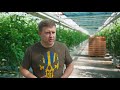 Віталій Коваль відвідав підриємство на Рівненщині, яке вирощує овочі