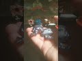 Unboxing the stranger things kinder joy part 3.