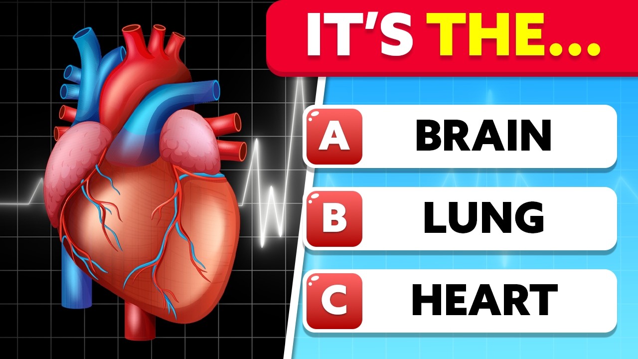 Can You Pass This Human Body Quiz? | General Knowledge Quiz 🧠❓