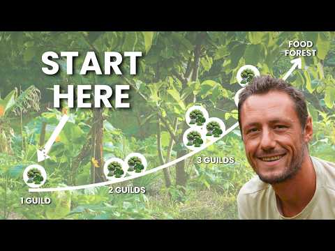 How to Start a Food Forest (With Just One Guild)