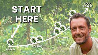 Celebrity How to Start a Food Forest (With Just One Guild) Wealth