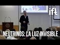 Neutrinos: la Luz Invisible - Michele Maltoni