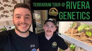 Terrarium Tour Rivera Genetics: Visiting False Water Cobras, Tarantulas, and More