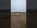 Pop