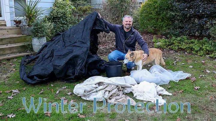 Cold Weather Garden Protection