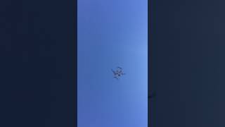 IMG 5004