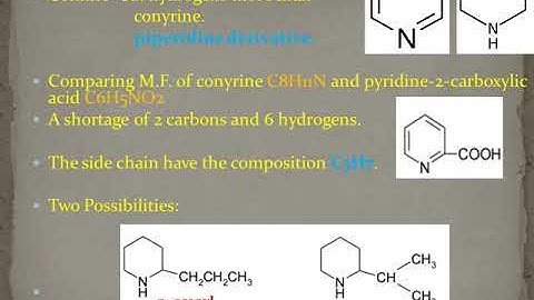 Coniine - structural Elucidation and synthesis ( III B.Sc., Chemistry - M.S. University Syllabus)