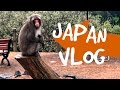 Feeding wild monkeys in arashiyama  japan vlog  day 13 part 3