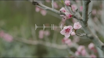 الـقارئ : محمد الـجوعي تراويح لـيلة 23 رمضان 1444هـ سورة الشعراء (69-227)