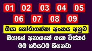 ඔයා තෝරාගන්නා අංකය අනුව ඔයාගේ අනාගතේ  ගැන මම හරියටම කියනවා | Secret Number says about You