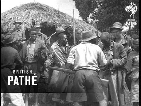     1954