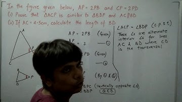 SIMILARITY Exercise 13.1 Q10 Class X ICSE |  In the figure (1) given below, AP = 2PB and CP = 2PD.