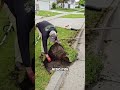 Hello 🤗 | Pressure Washing & Lawn Care Transformation | Satisfying Cleaning Video