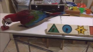 Psy Puzzle screenshot 4