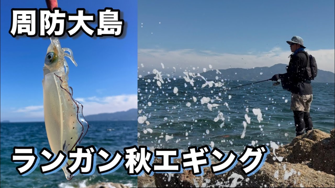 荒れた周防大島でランガン秋エギング 2025年10月