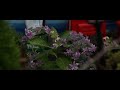 CANON EOS 5D MARK II 23.976fps | 2.35:1 | TAMRON SP 24-70mm F2.8 Di VC USD | 4K Video(Ansan Korea)