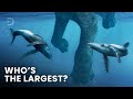 Largest creatures to ever exist on earth