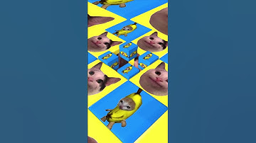 beluga and banana cat cube rolling  #animation #cat