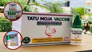Ni noma !! 'Tatu Moja' Chanjo ya kuku kutoka SUA./ Utapenda !! Inadhbiti magonjwa matatu (3) ya kuku