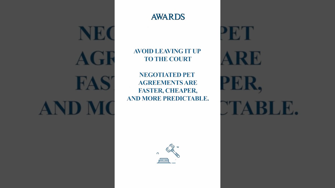 Pet Custody:  How Courts Decide Your Pet's Future