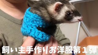 【フェレット】チョコちゃんのお洋服が完成！【Handmade clothes】ferret#150