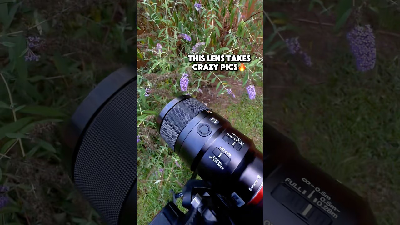 在 YouTube 上觀看「Sony 90mm macro🔥🔥」 在 YouTube 上觀看「Sony 90mm macro🔥🔥」