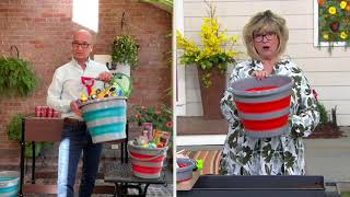 Ultimate Innovations Set of 2 Collapsible 4-GL Buckets on QVC