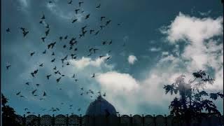 Ranjheya Ve | Zain Zohaib | (Lyrics : Faqir Muhammad Gulzar Sabri)