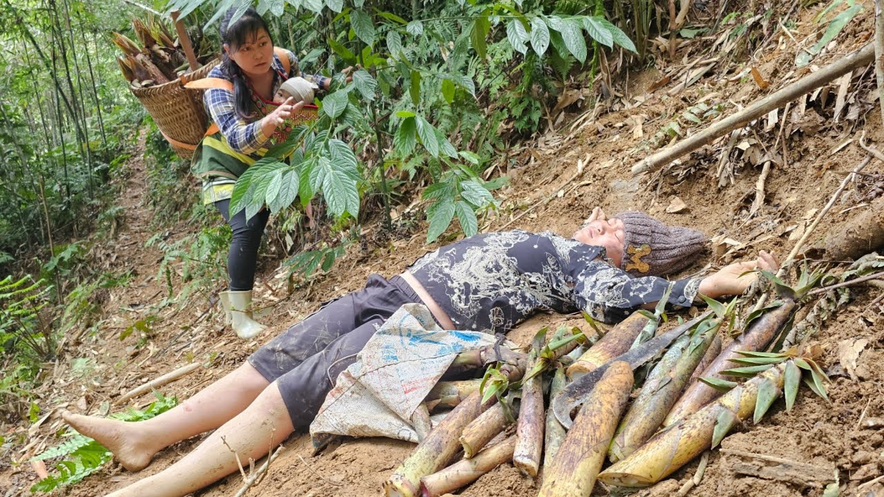 A mother daughter, searching bamboo shoots unexpectedly discovered abandoned orphaned boy forest.