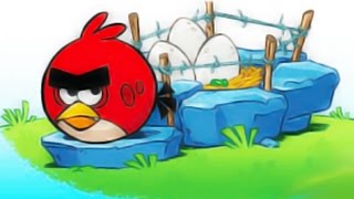 Angry Birds Epic RPG All Cutscenes Animation! screenshot 5