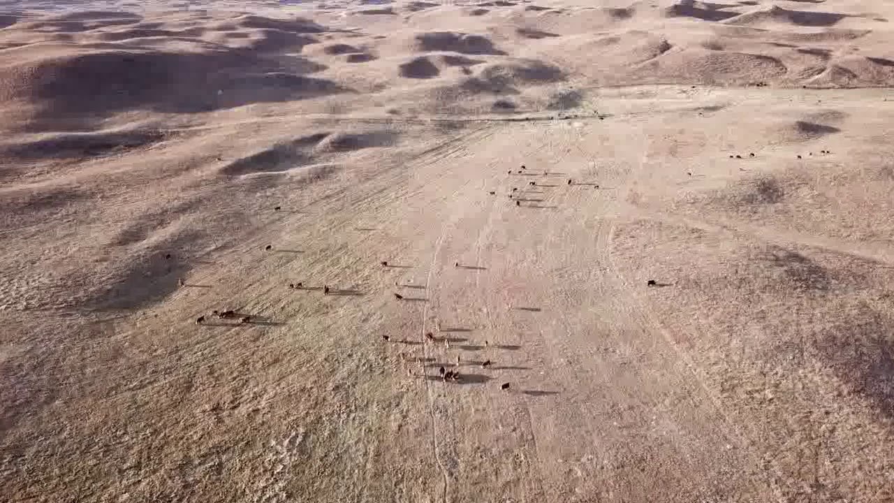 The Nebraska Sandhills Seasons , by Sheriff Mike YouTube