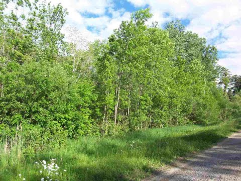 13628 Velp, Suamico, WI home video tour
