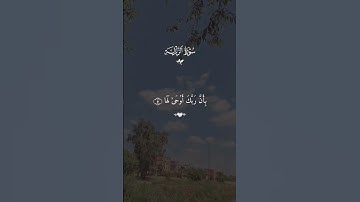 إِذَا زُلْزِلَتِ الْأَرْضُ زِلْزَالَهَا #سورة_الزلزلة #سورة #قرآن #shortfeed