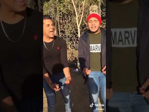 شرقاوي الشرع محليلي اربعه