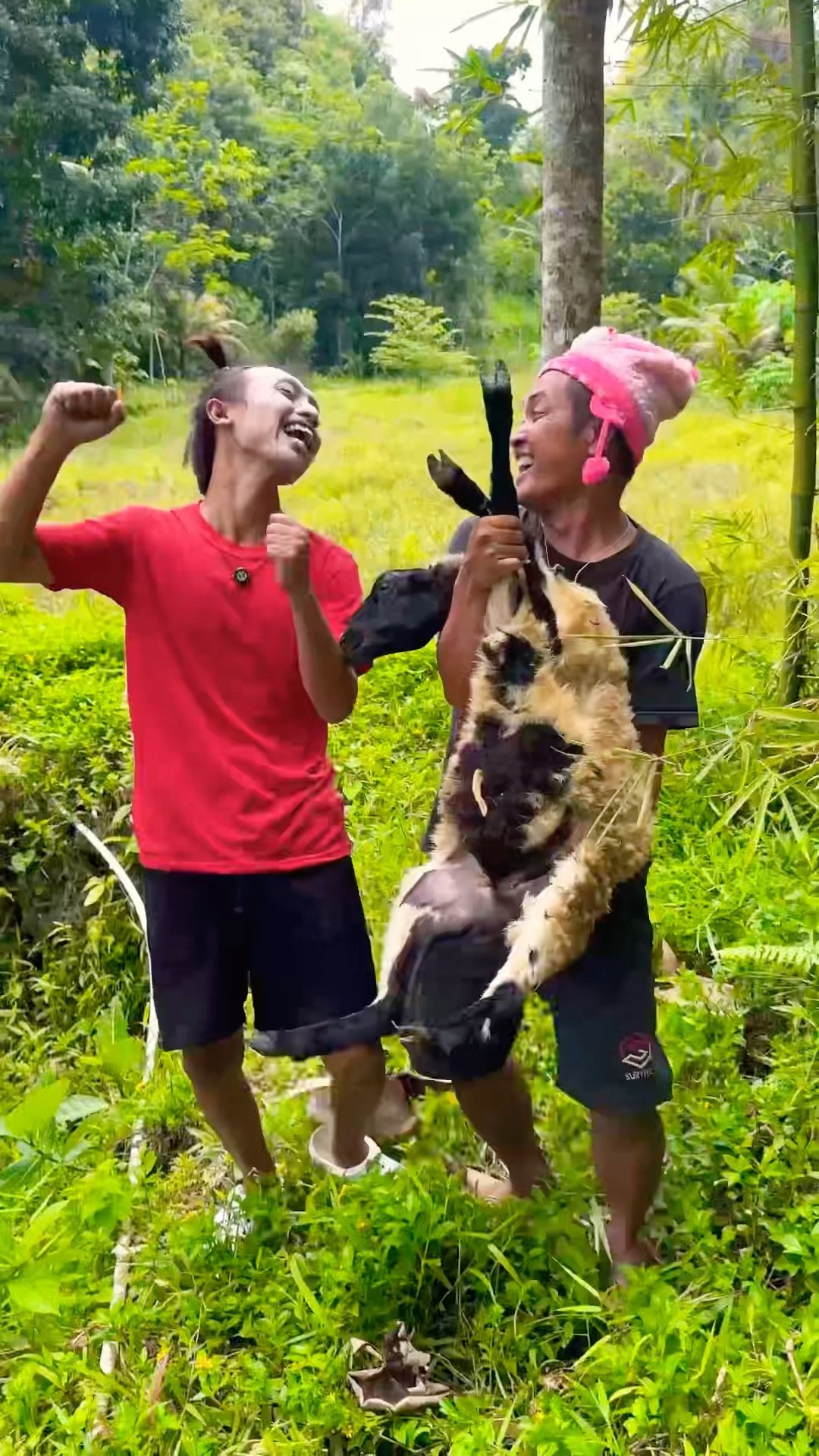Bego dan warga Nangkap Domba❗️