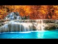 Relaxing Music 24/7, Stress Relief Music, Sleeping Music, Spa Music, Meditation, Meditation, Sleep